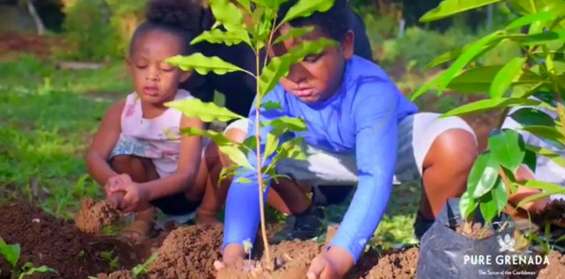 , GRENADA’S NEW VOLUNTOURISM PROGRAM OFFERS AUTHENTIC EXPERIENCES FOR VISITORS LOOKING TO MAKE AN IMPACT