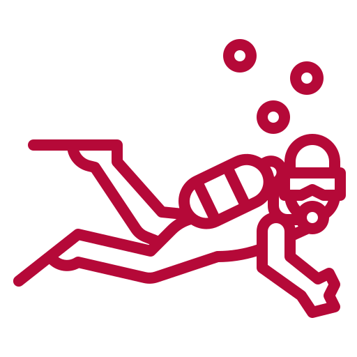 experiences, Experiences