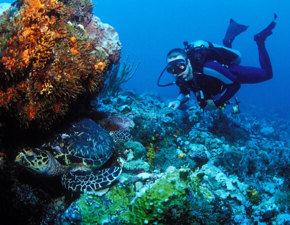 grenada tourism, Grenada Tourism Authority