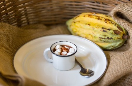 House of Chocolate - Image 3