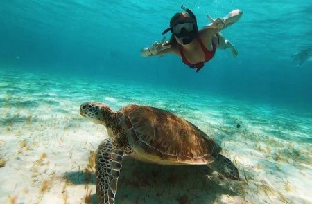 Corsair Sailing Charters & Experiences - Image 2