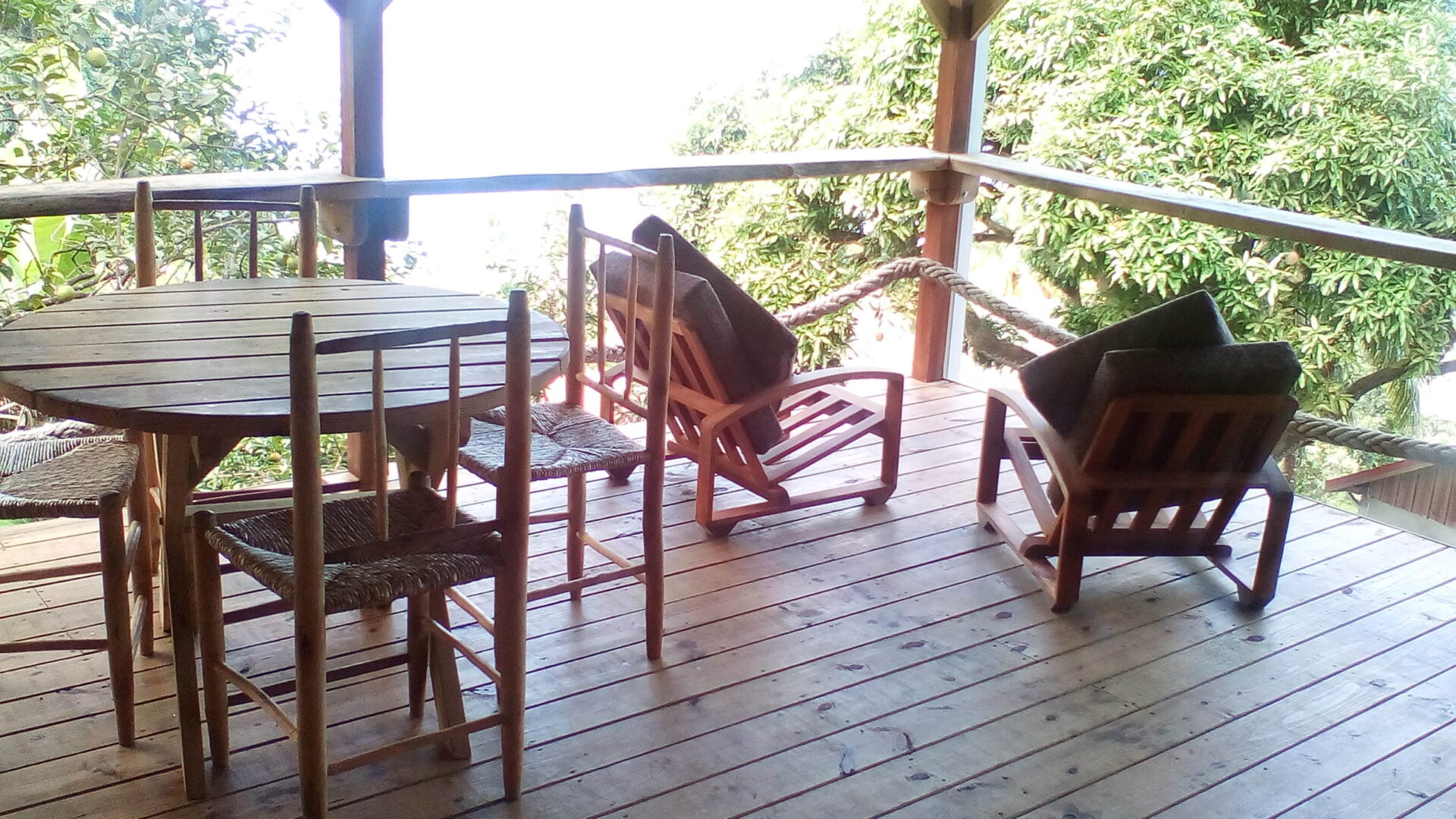 Crayfish Bay Organic Estate - Image 2