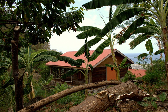 Crayfish Bay Organic Estate - Image 4