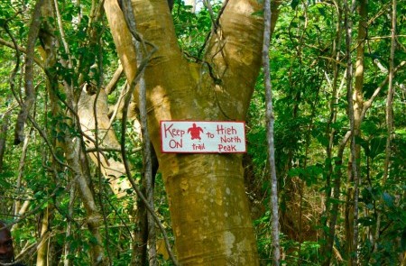 Isle of Reefs Tours - Image 2