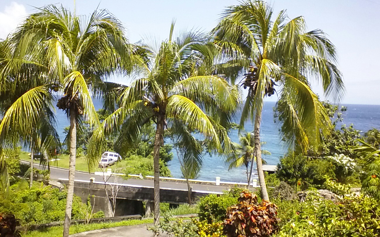 Crayfish Bay Organic Estate - Image 6