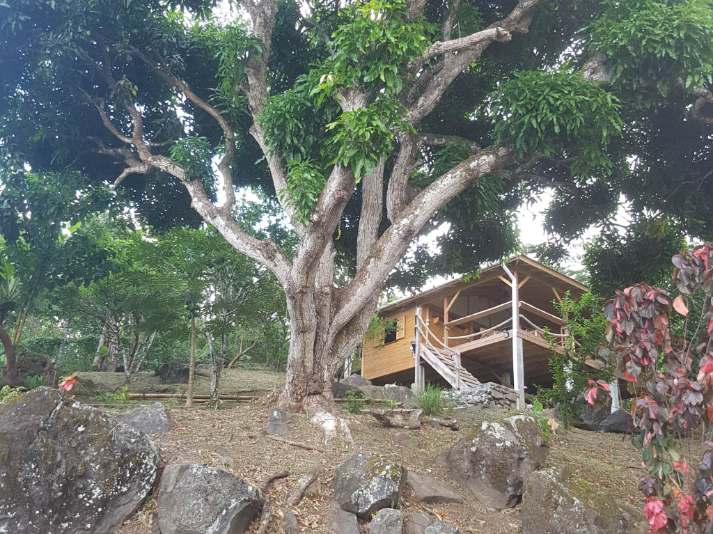 Crayfish Bay Organic Estate - Image 8