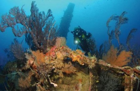 Bianca C Ship Wreck - Image 3
