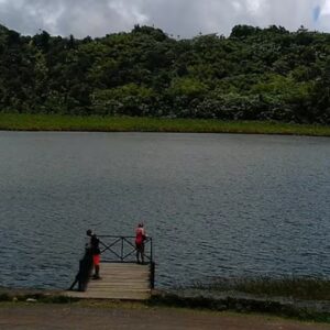 Zeyah Tours and Services