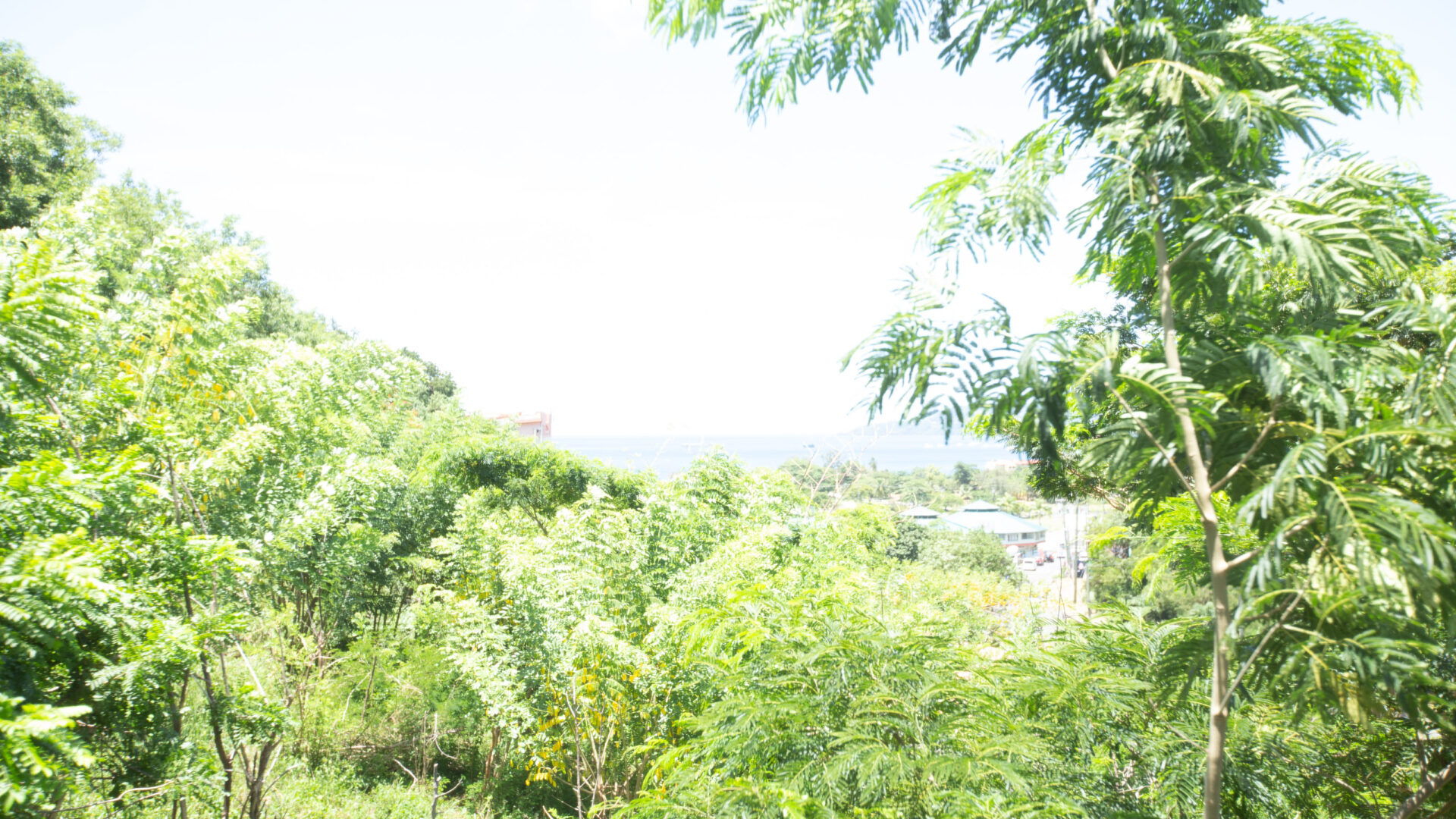 Wave Crest Suites - Image 10