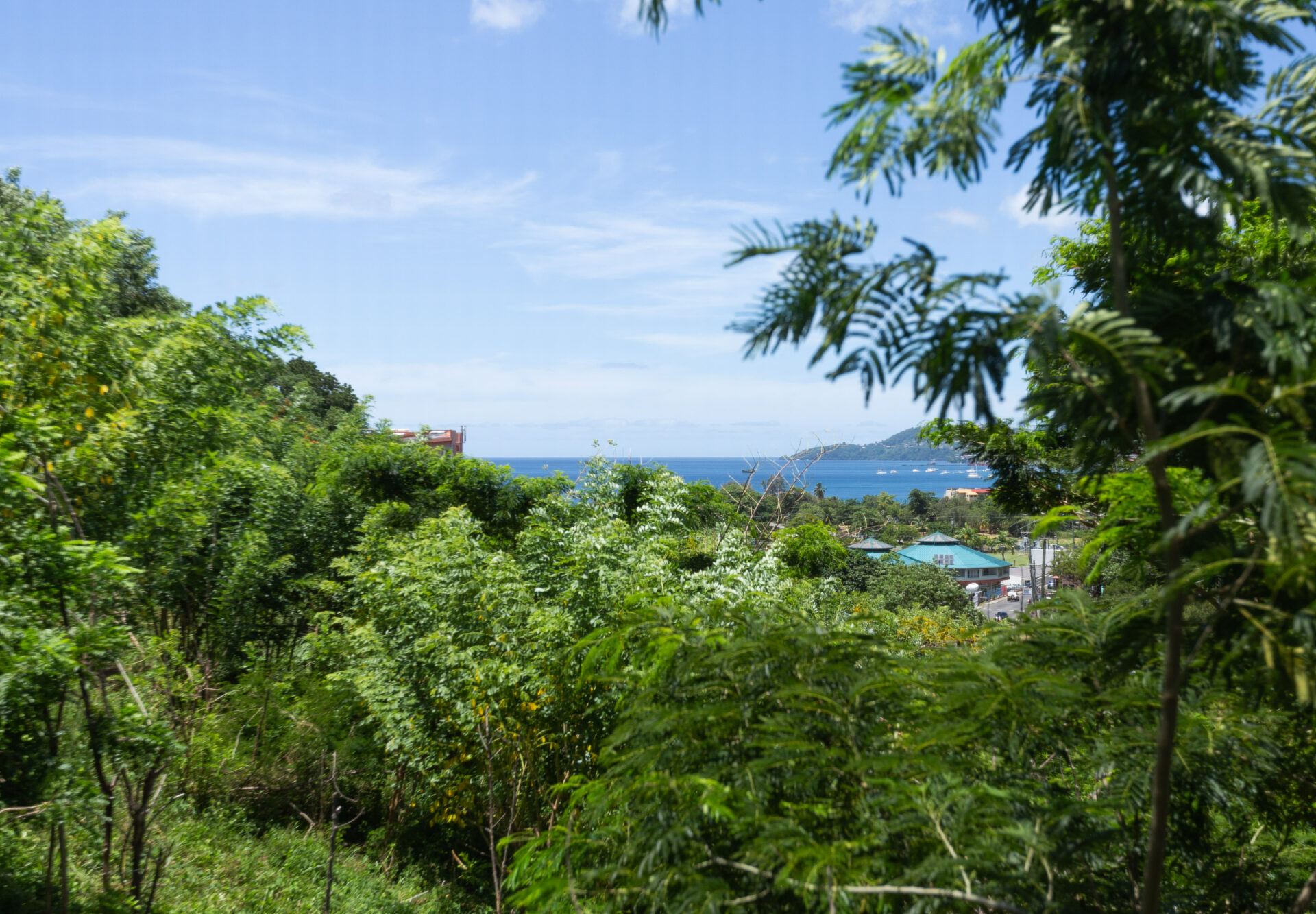 Wave Crest Suites - Image 14