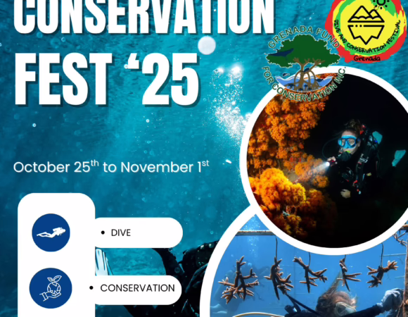 Grenada Set to Host Fourth Annual Dive and Conservation Festival