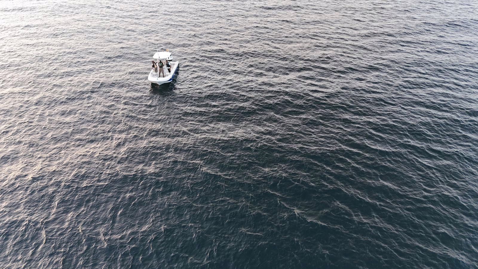 James Services Corp. Watersport - Image 4